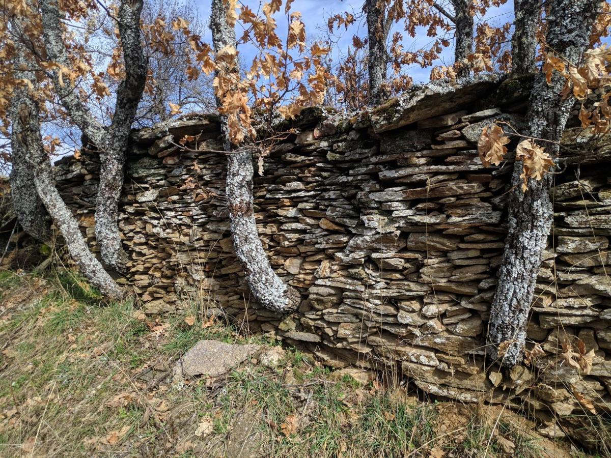Casa Rural Fuente Del Arca Montejo Montejo de la Sierra Ngoại thất bức ảnh